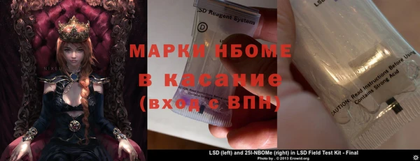 ПСИЛОЦИБИНОВЫЕ ГРИБЫ Сясьстрой