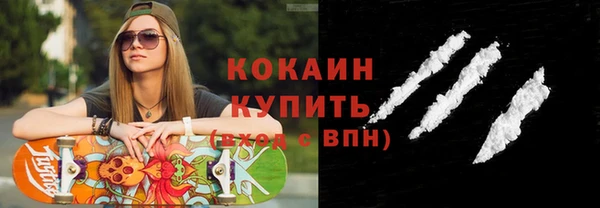 ECSTASY Тайга